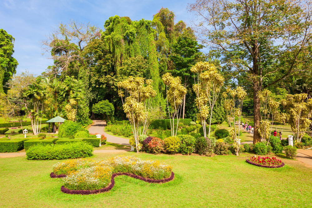peradeniya-garden-2